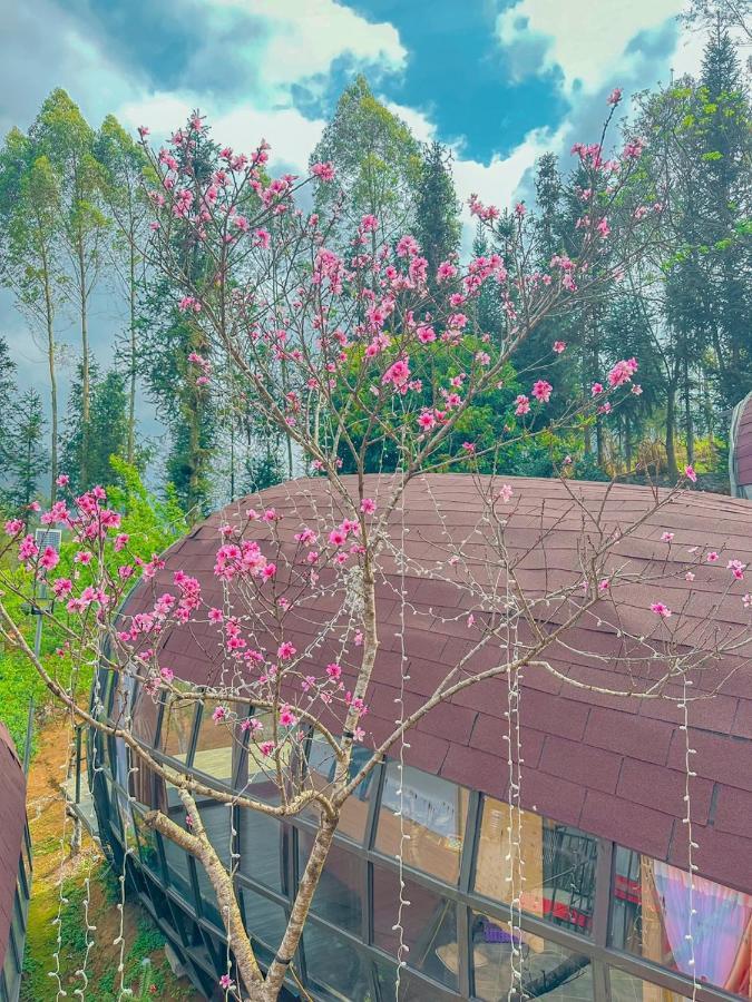 דונג ואן Plum Homestay מראה חיצוני תמונה
