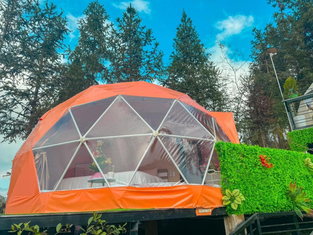 דונג ואן Plum Homestay מראה חיצוני תמונה